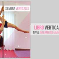 Ebook El libro de las verticales
