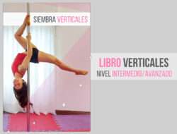Ebook El libro de las verticales