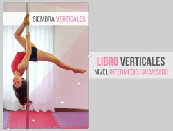 Ebook El libro de las verticales - Imagen 2